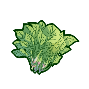 Spinach PNG-79152